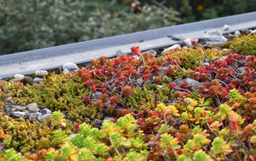 the cost of Lower Ashton green roof installation