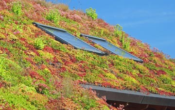 Lower Ashton living roof systems